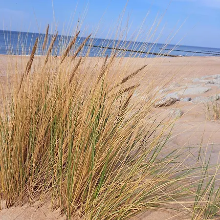 منزل للإقامة Goscinne 